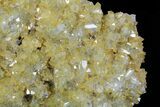 Plate Of Gemmy, Chisel Tipped Barite Crystals - Mexico #78140-1